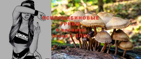 ECSTASY Беломорск